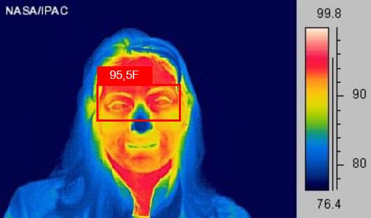 thermal image with maximum temperature detected