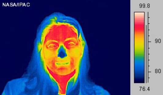 thermal image for input