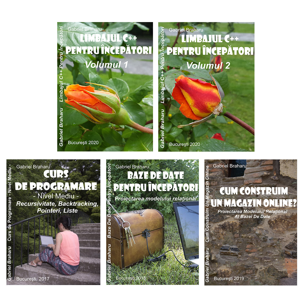 Pachet 5 Carti Programare (12)
