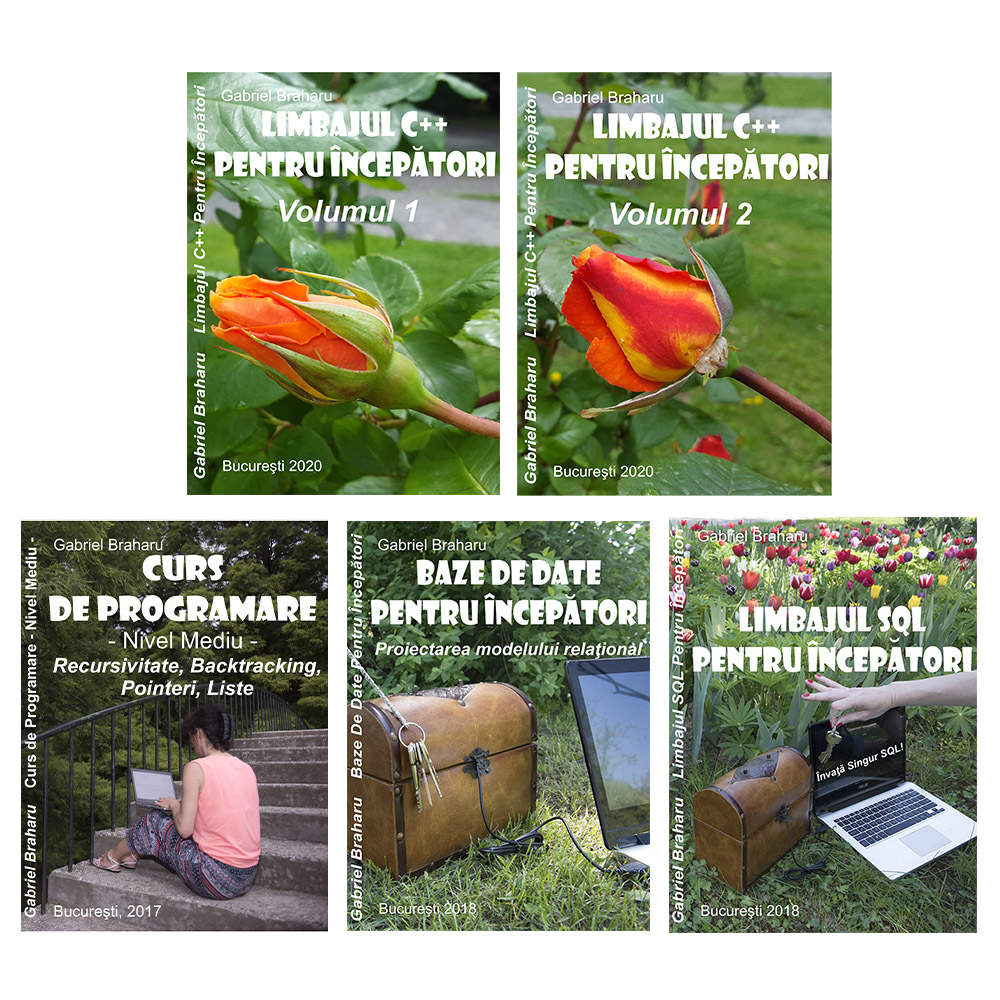 Pachet 5 Carti Programare (16)